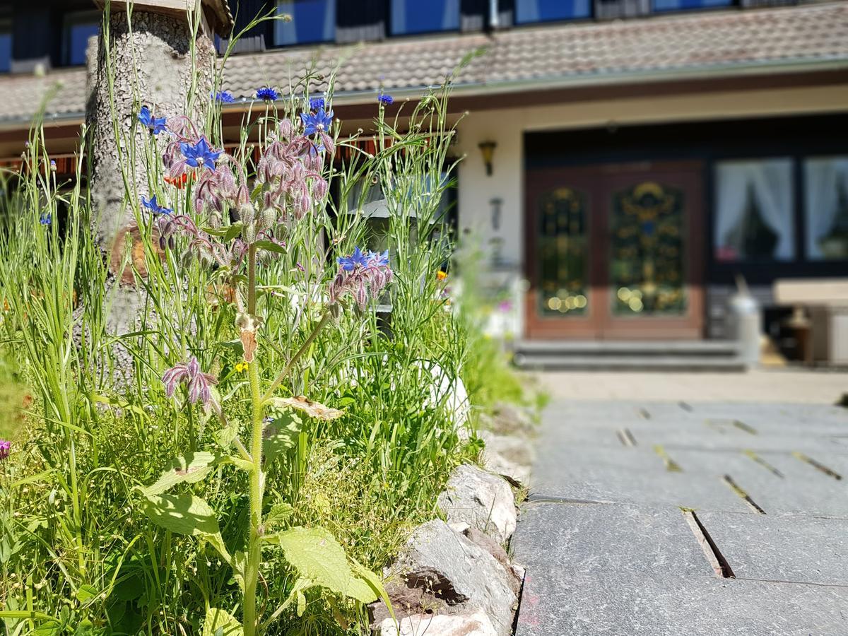 Hotel Landhaus Sonnenhof Todtnau Eksteriør bilde